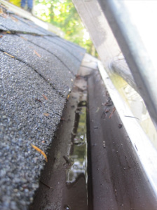 port ludlow gutter cleaning