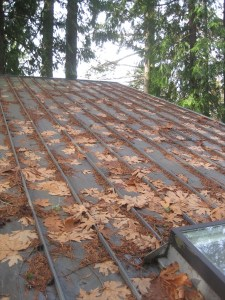 Port Gamble Roof Cleaning