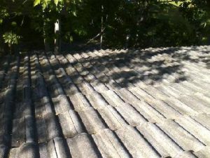 roof cleaning and gutter cleaning in Bainbridge Island, WA