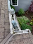 bremerton gutter cleaning services