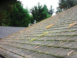 port orchard roof cleaning