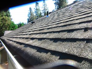 Poulsbo Roof Cleaning