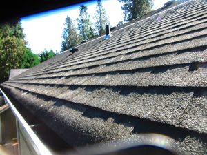 Silverdale Gutter Cleaning